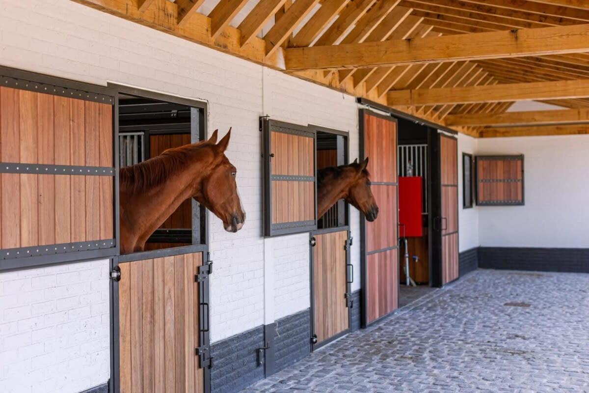 Huswell - Lady - Lovely Double Room At Ranch De Blauwe Zaal Brugge Bagian luar foto